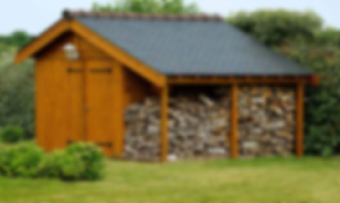 Landscaping Ideas That Work All Year Round College Bound Institute